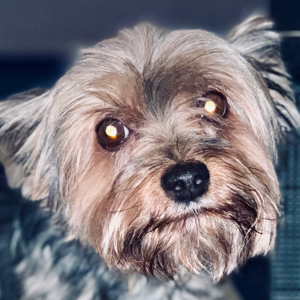 Meet your Posher, Jay